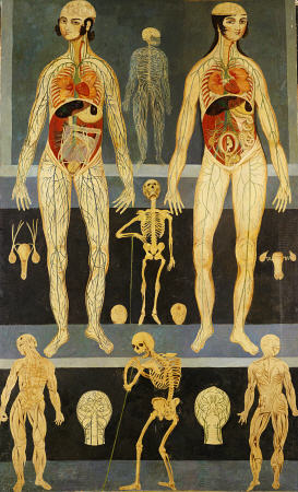 تصویر 3. تصویرسازی پزشکی بر اساس سبک نقاشی مکتب قاجار